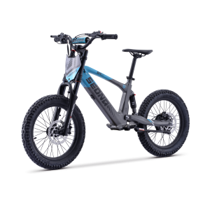Sedna SX20